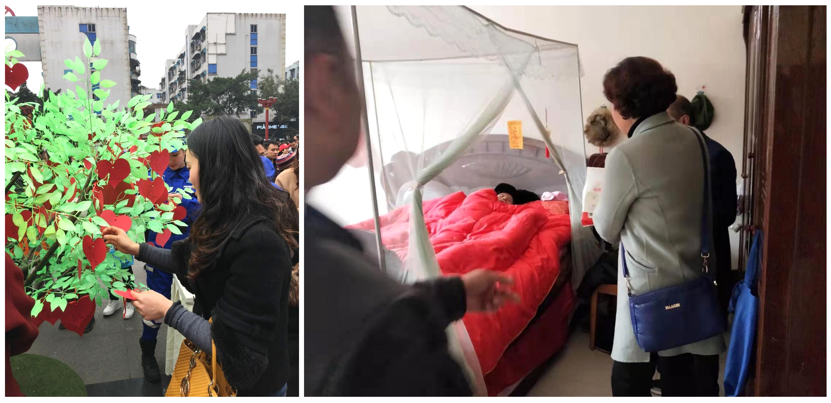 365(英國)集團(tuán)