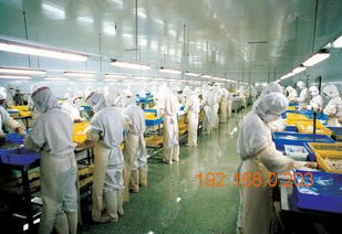 廈門食品凈化車間選購指南 如何找到銷量好、品質優的生產廠家